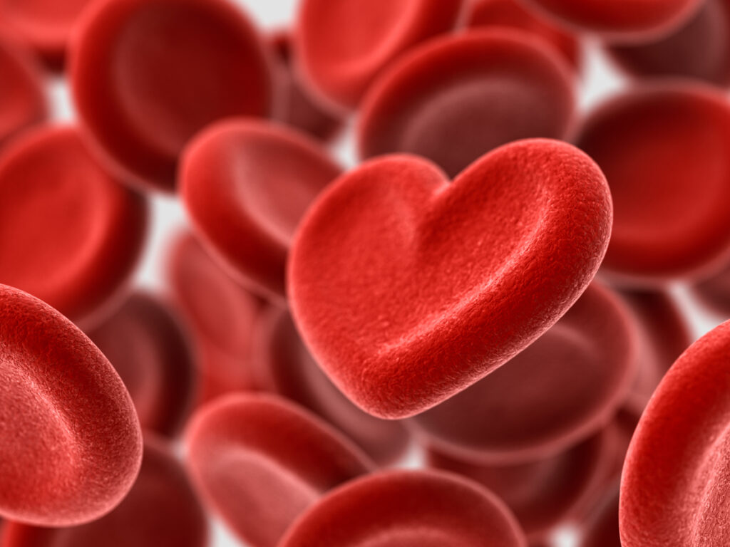 blood donation concept