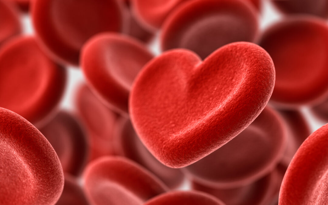 Omega-6-Fettsäuren: Qualität und Quantität