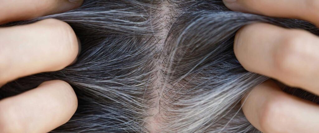 29 grauehaare banner